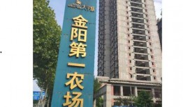 重庆烂尾楼爆料视频,揭秘背后真相与困境